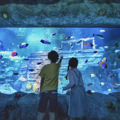 SEA LIFE