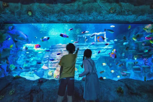 SEA LIFE