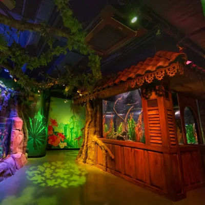 Rainforest At SEA LIFE Malaysia