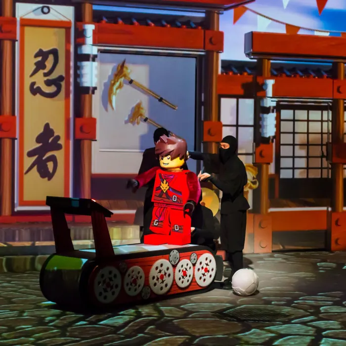 LEGO NINJAGO & The Realm of Shadows