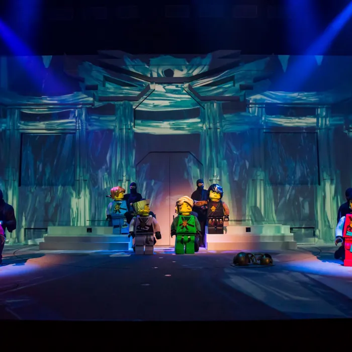 LEGO NINJAGO & The Realm of Shadows