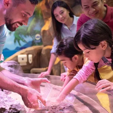SEA LIFE at LEGOLAND Malaysia Resort