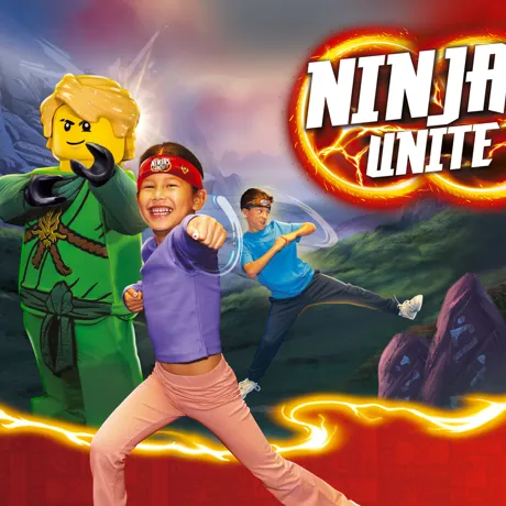 16 Ninjago Block Image 2100X1500