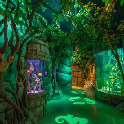 SEAHORSE NURSERY