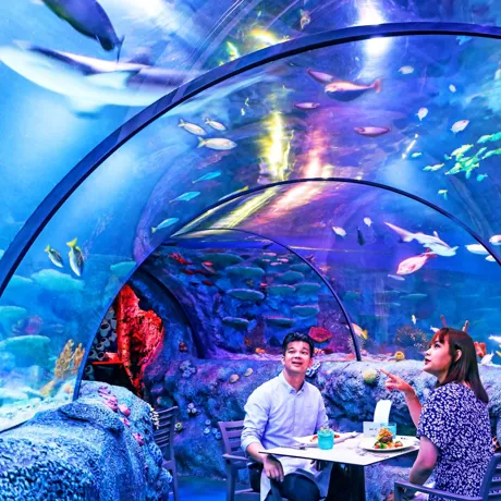 Underwater Dining Experience