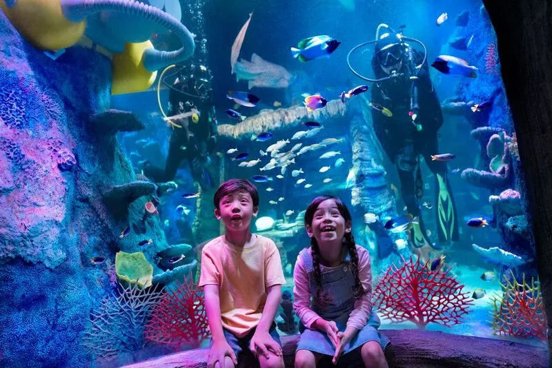 SEA LIFE at LEGOLAND Malaysia Resort