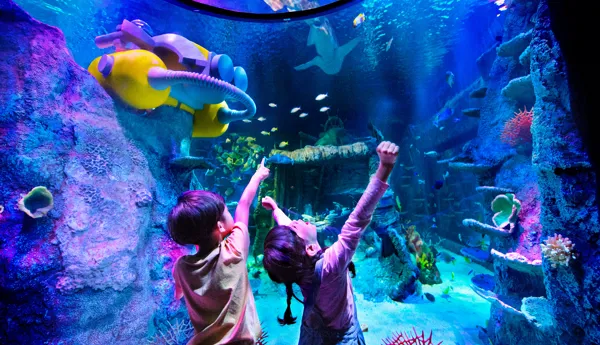 SEA LIFE at LEGOLAND Malaysia Resort