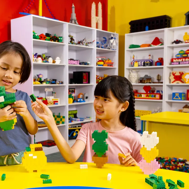 LEGO ACADEMY