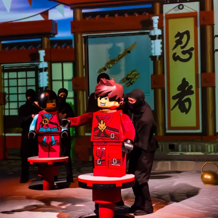 LEGO NINJAGO & The Realm of Shadows