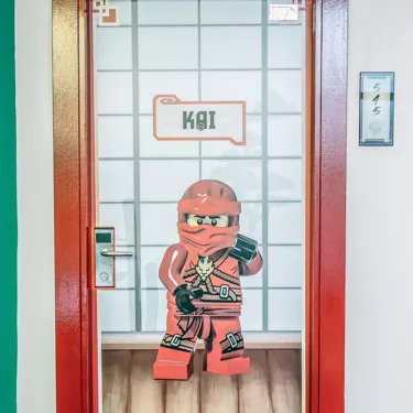 Premium Themed Room (NINJAGO)