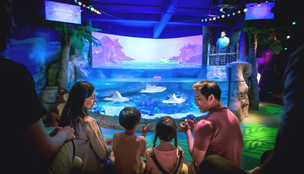 Stingray Bay